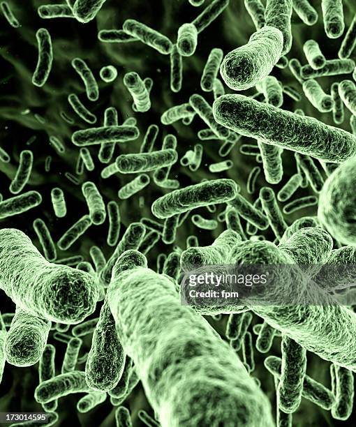bacterias [ ] verde - fournier gangrene fotografías e imágenes de stock