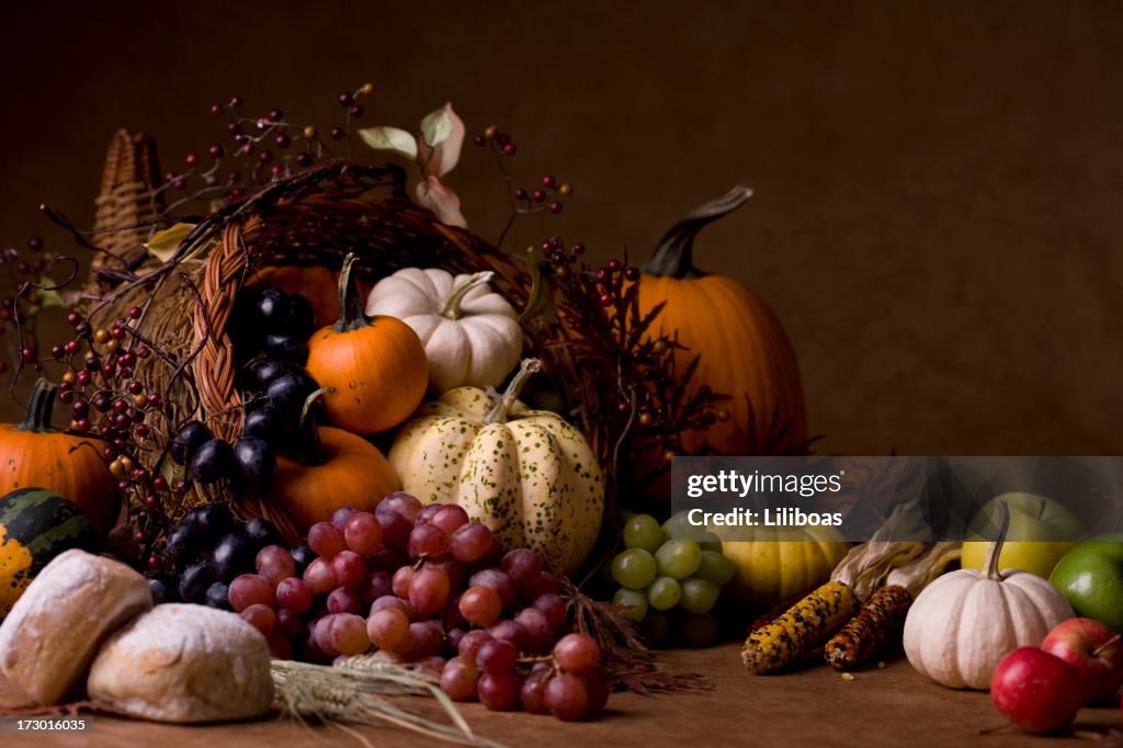 Cornucopia (XXL)