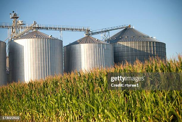 de grano farm - silo fotografías e imágenes de stock