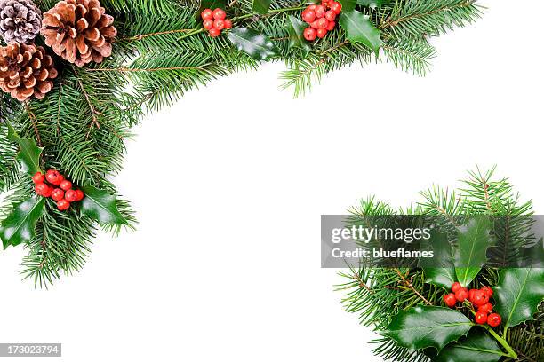 a christmas holly and pine cones border - christmas holly 個照片及圖片檔