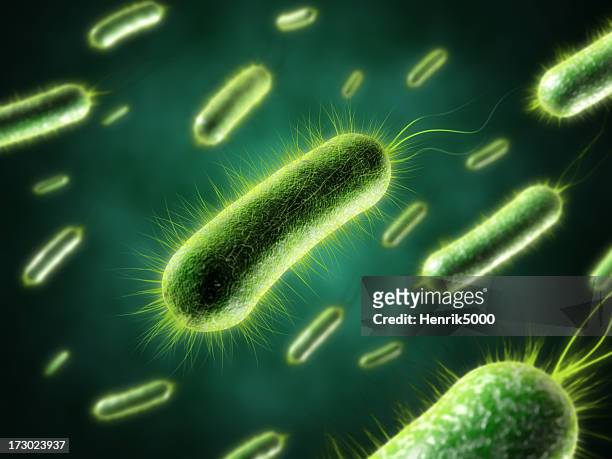 bacteria with fur closeup - bacterium stock pictures, royalty-free photos & images