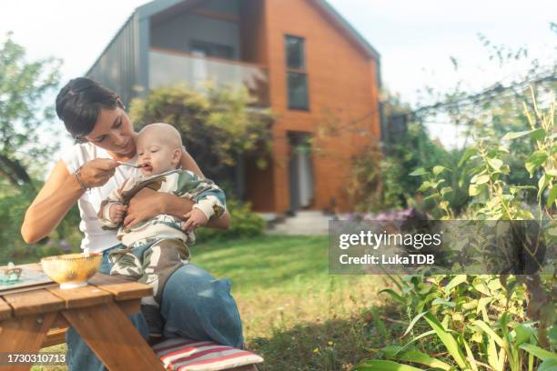 a cute little baby boy is eating porridge while sitting in the babysitter's arms - child eating cereal stock pictures, royalty-free photos & images