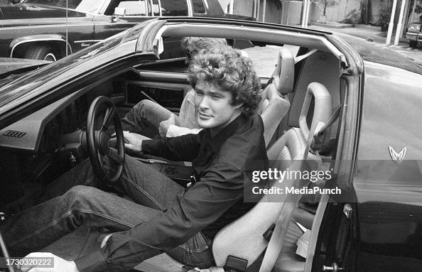 David Hasselhoff David Hasselhoff