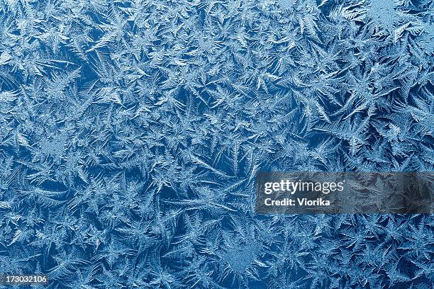 frosty pattern - blue christmas background bildbanksfoton och bilder