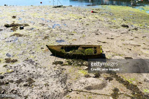 old boat with seaweed abandoned on the sand of the beach on the coast of the town of combarro, side view - sinking rowboat stock pictures, royalty-free photos & images