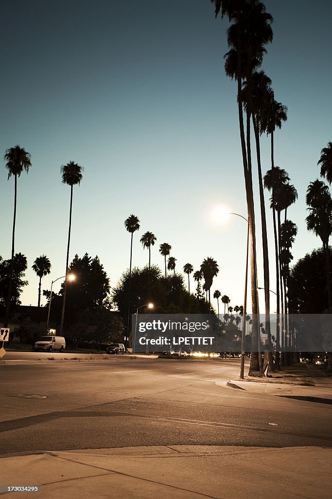 Palmen-Futter ein Los Angeles street in der Dämmerung