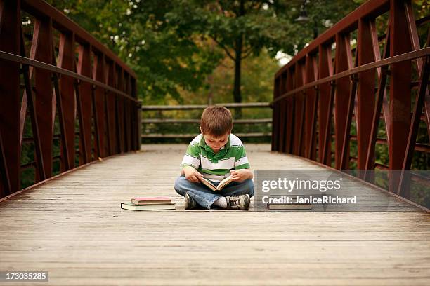 lesung in the park " - roman bridge stock-fotos und bilder