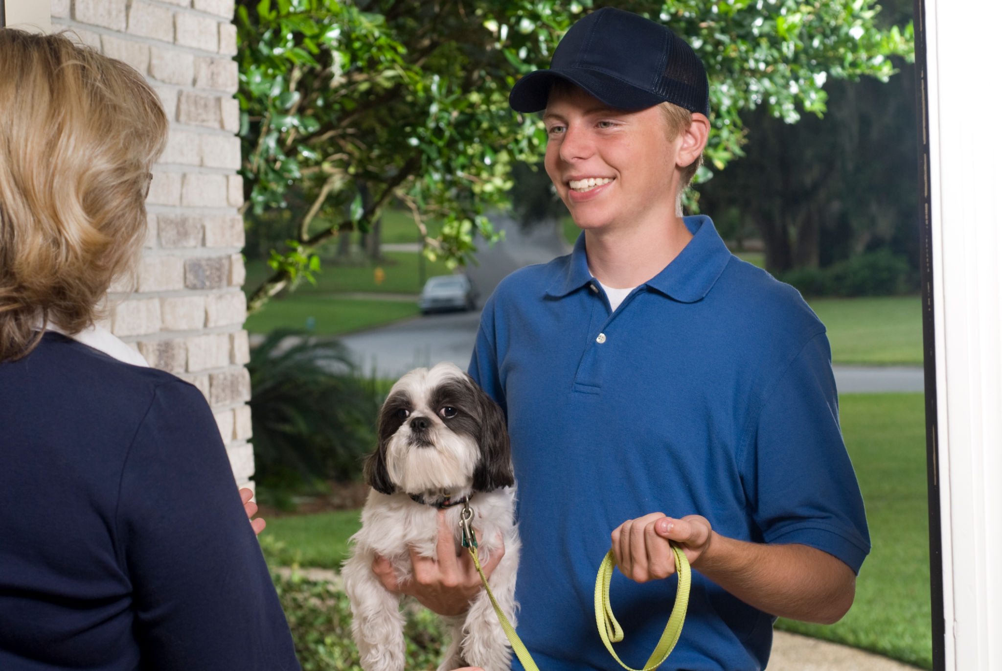 dog walking service
