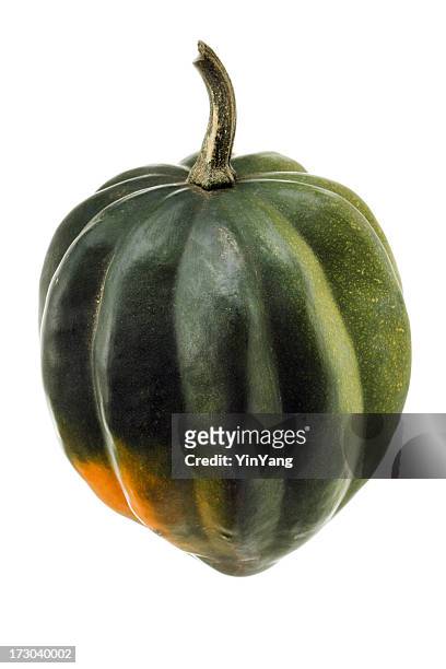 acorn squash, a raw, fresh, green autumn vegetable, on white - acorn squash stock pictures, royalty-free photos & images