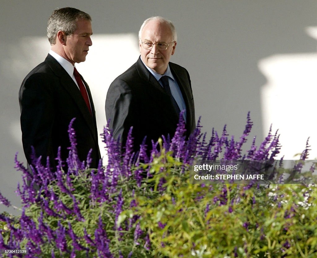TOPSHOT-US-BUSH-CHENEY 2