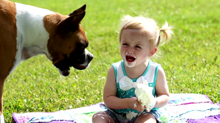 121,435 Funny Videos and HD Footage - Getty Images 121,435 Funny Videos and HD Footage - Getty Images