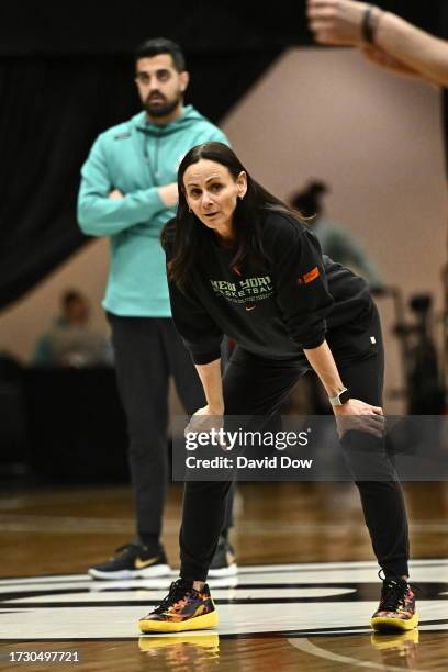 Sandy Brondello of the New York Liberty looks on during practice and media availability at the 2023 WNBA Finals on October 17, 2023 in Brooklyn, New...