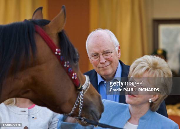 Vice-President Dick Cheney and his wife Lynn look at one of Saudi Arabia King Abdullah bin Abdulaziz's, famous Arabian horses on March 21, 2008...