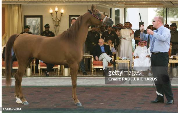 Vice-President Dick Cheney looks at one of Saudi Arabia King Abdullah bin Abdulaziz's, famous Arabian horses with Prince Miteb bin Abdulla, the...