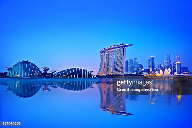 singapore cityscape - gardens by the bay stock-fotos und bilder