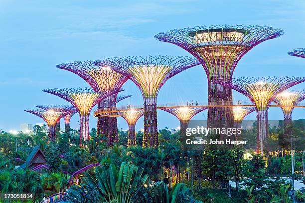 gardens by the bay, singapore. - singapore botanic gardens foto e immagini stock