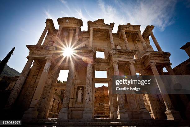 Celcus Celcus Photos and Premium High Res Pictures - Getty Images