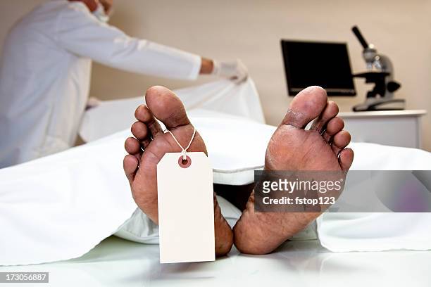 mortician, coroner covering dead body in morgue. feet, toe tag. - morgue bildbanksfoton och bilder