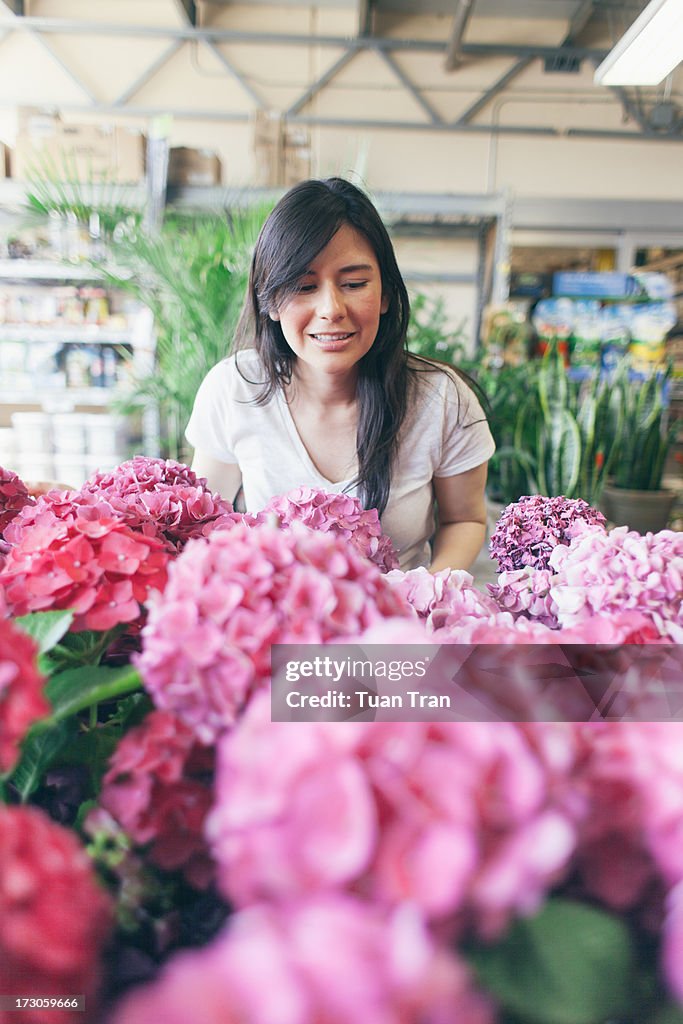 Picking up flowering plant at flower store