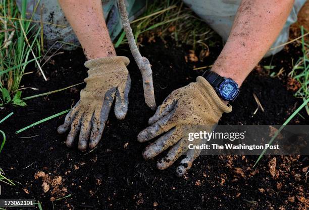 Charles Littlefield spent a good part of his Sunday morning planting persimmon trees on a plot of land he's farming near Dickerson, MD. He's...