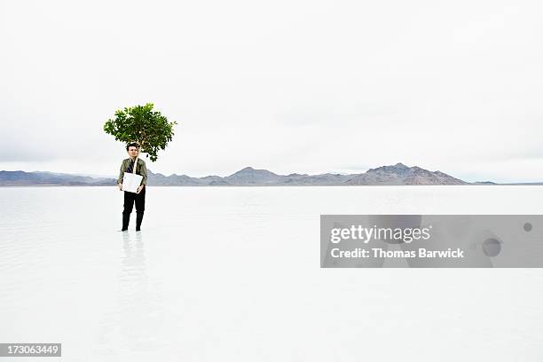 businessman in shallow water carrying potted tree - carrying pot plant stock pictures, royalty-free photos & images