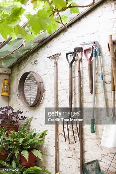 tools hanging on wall of garden shed - trädgårdsredskap bildbanksfoton och bilder
