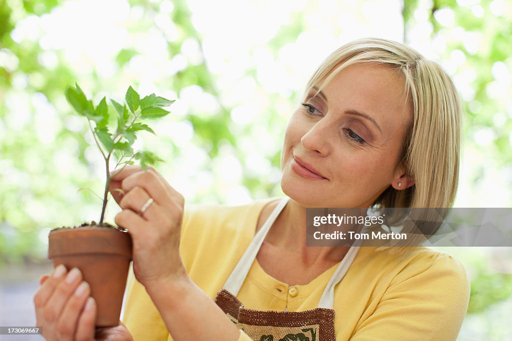 Woman holding seedling in ceramic flower pot