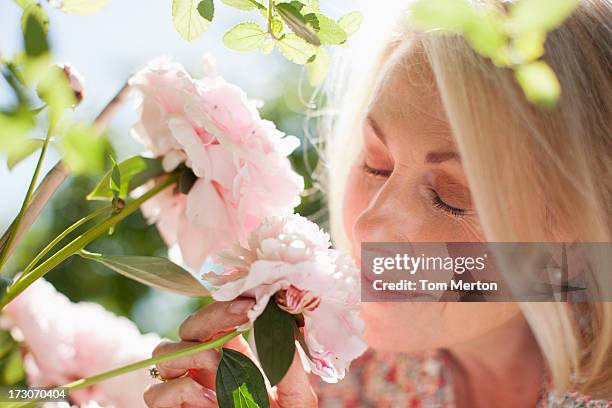 primer plano de mujer oliendo rosa flores - una sola mujer mayor fotografías e imágenes de stock