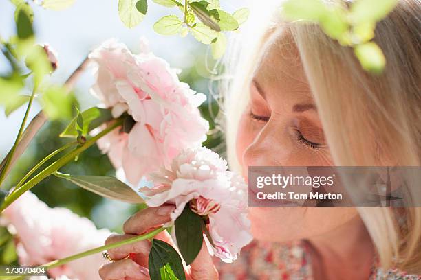 close-up de mulher cheirando flores cor-de-rosa - smell - fotografias e filmes do acervo