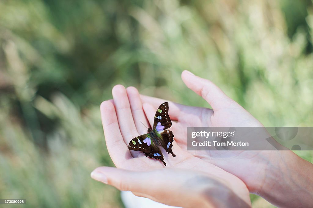 Borboleta pousar sobre mãos da Mulher