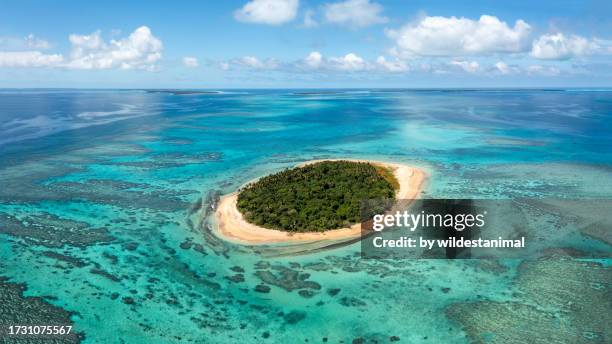 aerial view of a deserted island surrounded by coral reefs, tonga. - lagon photos et images de collection