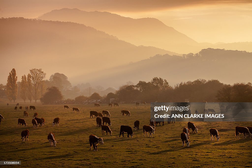 Dusk over the mountains