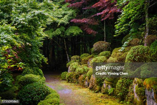 moss-covered walkways in a traditional japanese garden - moss stock pictures, royalty-free photos & images