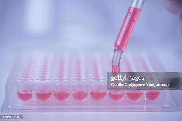 scientist testing in laboratory. - sample collection stock pictures, royalty-free photos & images