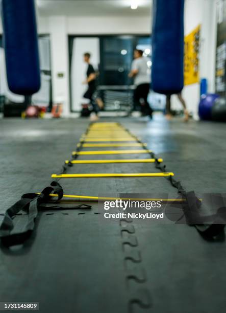 601 Ladder Leisure Centre Stock Photos, High-Res Pictures, and Images ...