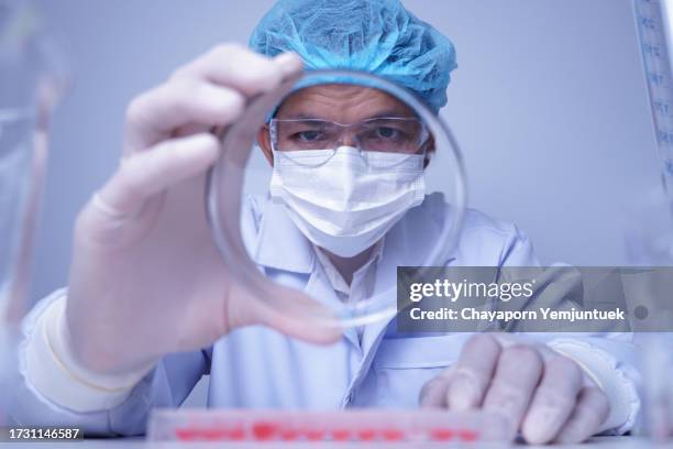 asian scientist testing in laboratory. - medisch specimen stockfoto's en -beelden