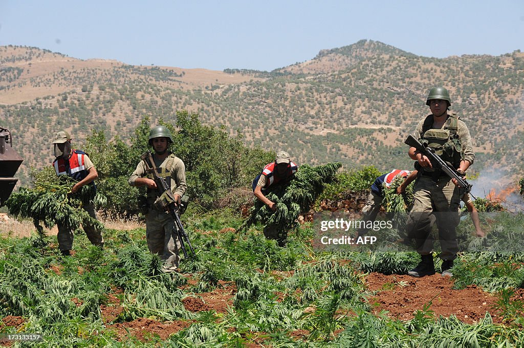 TURKEY-KURDS-MARIJUANA