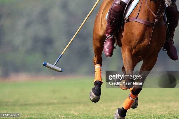 national polo championship - polo horse stock-fotos und bilder