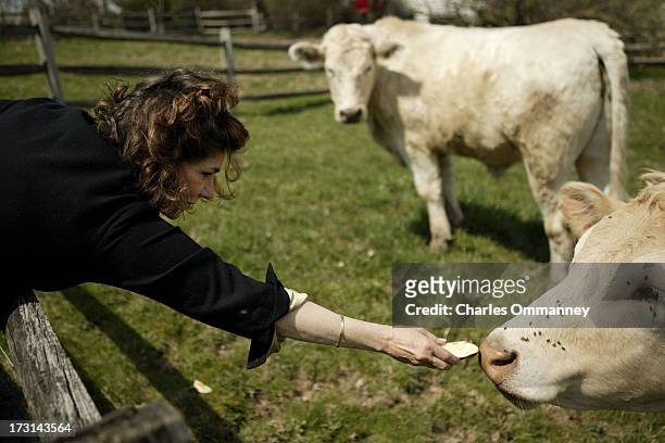 Businesswoman and philanthropist Teresa Heinz Kerry photographed for Self Assignment at Rosemont Farm, Pittsburgh, PA, on April 17, 2004.
