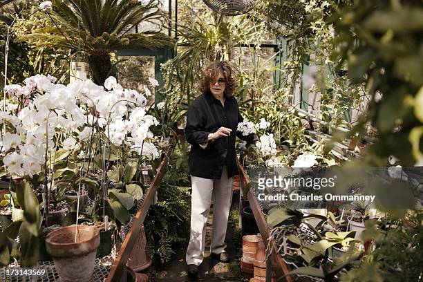 Businesswoman and philanthropist Teresa Heinz Kerry photographed for Self Assignment at Rosemont Farm, Pittsburgh, PA, on April 17, 2004.