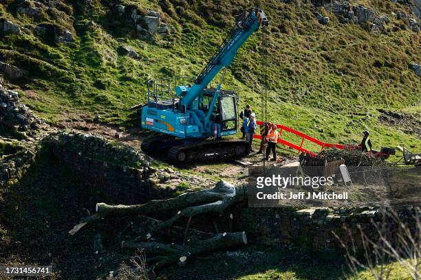 Workers remove the tree felled at Sycamore Gap on October 12, 2023 in Hexham, England. The trunk of the tree at Sycamore Gap that was felled in an...