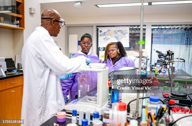 working in the lab - durham north carolina stock pictures, royalty-free photos & images