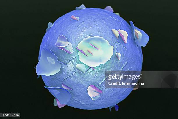 bone marrow stem cell - bone marrow stock pictures, royalty-free photos & images