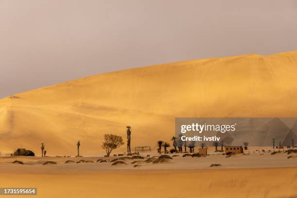 namibia desert - sossusvlei stock pictures, royalty-free photos & images