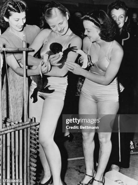 Dancers of Billy Rose's 'Aquacade' show feeding bananas to a small monkey at the New York World's Fair, October 7th 1939. The monkey was part of...