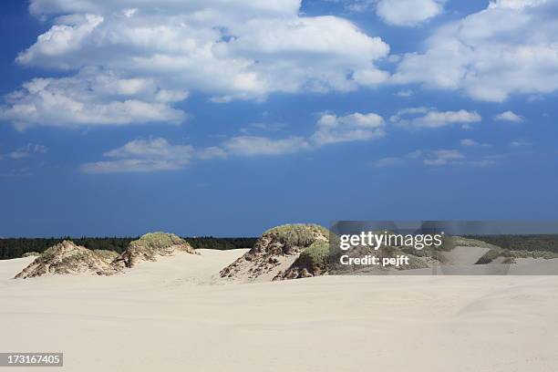 raabjerg mile migrating sand dune, skagen - denmark - pejft stock pictures, royalty-free photos & images