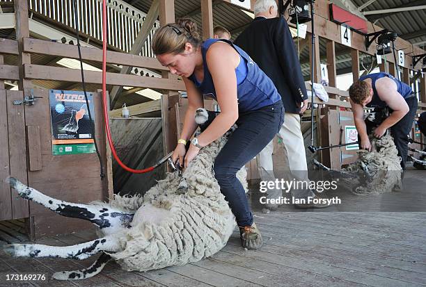 Anna Hill from Malton enters the sheep shearing competition at the Great Yorkshire Show on July 9, 2013 in Harrogate, England. The Great Yorkshire...