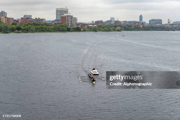 university rowers on the river charles - oar stock pictures, royalty-free photos & images