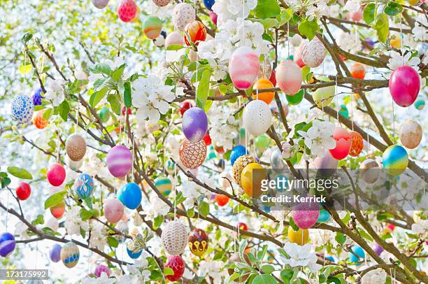 colorful handmade eastereggs on an apple tree - påsk bildbanksfoton och bilder
