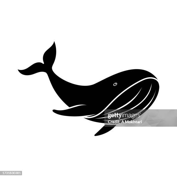 whale icon. - aquatic mammal stock illustrations